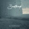 Darkside (feat. T-Bizzy & The Management) - DJ Skandalous lyrics