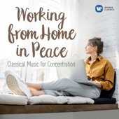 Working from Home in Peace: Classical Tunes for Concentration artwork