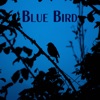 Blue Bird - Single, 2020