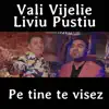 Pe Tine Te Visez - Single album lyrics, reviews, download
