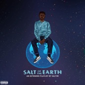 Salt of the Earth artwork