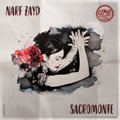 Sacromonte (Instrumental Mix) artwork