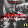 Wound Soon Heal - Single album lyrics, reviews, download