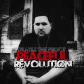 Peaceful Revolution artwork