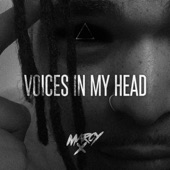 Voices in My Head artwork