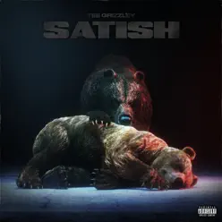 Satish - Single - Tee Grizzley Satish - Single - Tee Grizzley