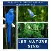 Let Nature Sing - Peaceful Relaxing Natural Instrumentals album lyrics, reviews, download