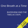 Kevin Griffin - One Breath at a Time: Buddhism and the Twelve Steps (Unabridged)