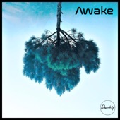 Awake artwork