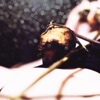 Lemondrop Girl - Single