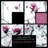 Rhododendron - Single