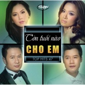 Top Hits 47 - Con Tuổi Nào Cho Em artwork
