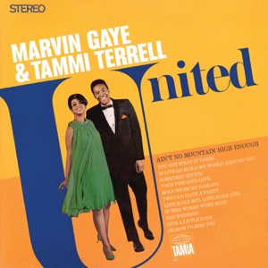 Marvin Gaye & Tammi Terrell - Two Can Have a Party - Line Dance Choreographer