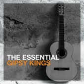 Gipsy Kings - Hotel California (Spanish Mix)