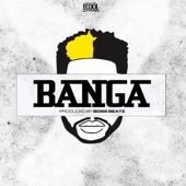 Banga artwork