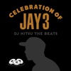 Celebration of Jay 3