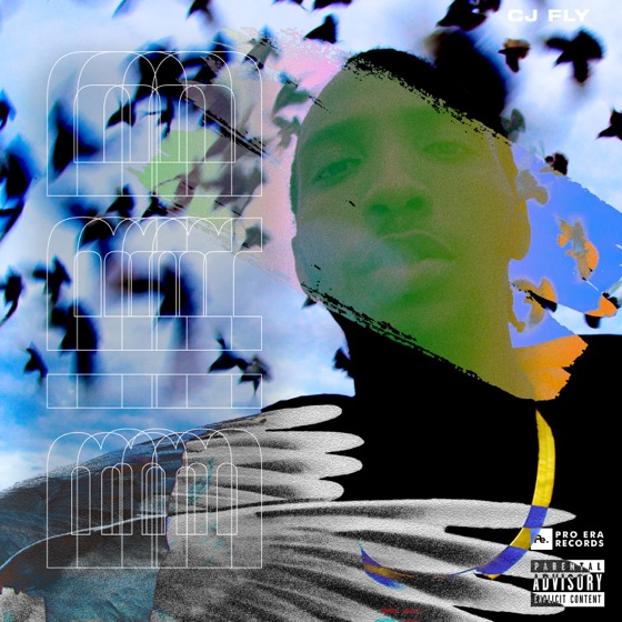 Cover artwork for Bird