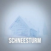 Alpine Sounds - Schneesturm, Pt. 11