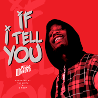 Flipp Dinero - If I Tell You artwork