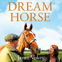 Janet Vokes - Dream Horse artwork