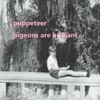 Pigeons Are Brilliant - Single