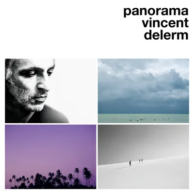 Panorama - Vincent Delerm