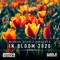 Forever Forever (In Bloom 2020) [feat. Mia Koo] - Nifra lyrics