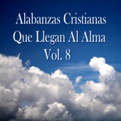 Alabanzas Cristianas Que Llegan al Alma, Vol. 8 artwork
