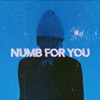 NUMB FOR YOU - Single