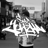 Flava In Ya Ear artwork
