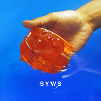 Sam Wise - Sorry You Were Saying (SYWS) artwork