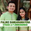Paluke Bangaramayena - Single album lyrics, reviews, download