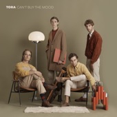 Can't Buy the Mood artwork