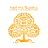 Stream & download Meet the Buddha Under the Sacred Tree: Buddhist Meditation to Attain Enlightenment, Prayer in the Mahabodhi Temple