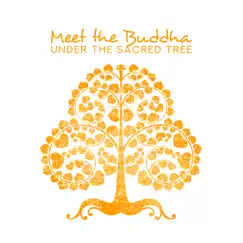 Meet the Buddha Under the Sacred Tree: Buddhist Meditation to Attain Enlightenment, Prayer in the Mahabodhi Temple by Buddha Music Sanctuary album reviews, ratings, credits