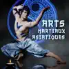 Arts martiaux asiatiques: Guerrier zen, Entraînement de tai chi, Pratique du yoga orientale album lyrics, reviews, download