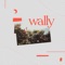 Colt 45 - Wally lyrics