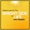 Always Look On the Bright Side of Life (Epic Version) artwork