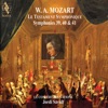 Jordi Savall - Symphony No. 40 in G Minor, K. 550: I. Molto allegro