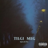 Tilgi Meg artwork