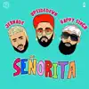 Señorita - Single album lyrics, reviews, download