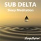 Sub Delta Sleep Meditation - MagicMotion lyrics