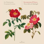 Sigismondo d'India: Il terzo libro de madrigali á 5 voci artwork