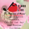 Tinlee Loves Noodles, Cat in the Hat, And Mokena, Illinois song lyrics