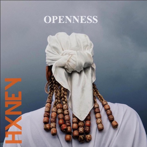Cover artwork for Openness