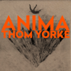 Thom Yorke - ANIMA artwork