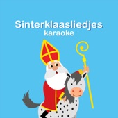 Sinterklaasliedjes (Karaoke) artwork