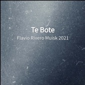 Te Bote artwork