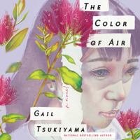 Gail Tsukiyama - The Color of Air artwork