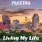 Living My Life - PriceTag lyrics